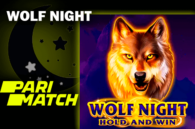 Logo gry Wolf Night i logo casino